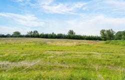 ASHMAN Road, BLACK CREEK, WI 54106