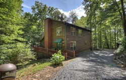 409 Hothouse Lane, Mineral Bluff, GA 30559