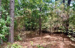 CR 4687, Atlanta, TX 75551