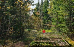 Lot 2 W Pendills Lake Road, Brimley, MI 49715