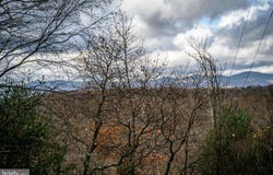 Lot 22 BUCK RIDGES ROAD, FRANKLIN, WV 26807