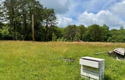 385 Old Fincastle Road, Zoe, KY 41397