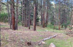 Tbd Brazos Lodge Estates, Tierra Amarilla, NM 87575