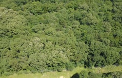 Polk Road 87, Mena, AR 71953
