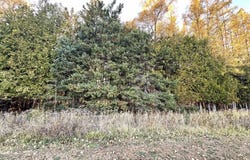 Kay Dr K1, Stephenson, MI 49887