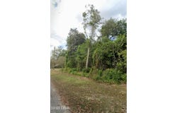 1/2 Lot 75 Pecan Street, Chipley, FL 32428