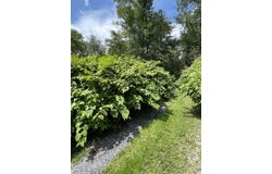 0 Ebensburg Road, Johnstown, PA 15901