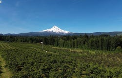 6765 COOPER SPUR RD, Mt Hood Prkdl, OR 97041