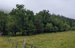 Tbd Robinette Valley Road, Duffield, VA 24244
