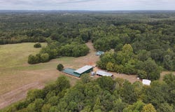 6040 E HIGHWAY 28, PINE APPLE, AL 36768