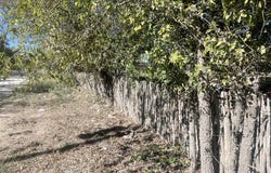 Dry Creek Rd, Barksdale, TX 78828