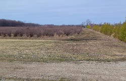 72nd Street Street, Covert, MI 49043
