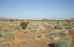 N Vim, Rosamond, CA 93560