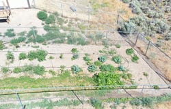 603 Palace Parkway, Spring Creek, NV 89815