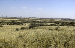 Lindstrom Road, Shepherd, MT 59079