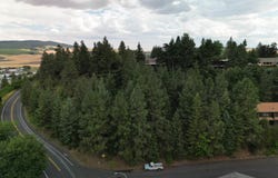 457 Boyde Ave., Moscow, ID 83843