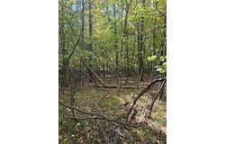 10082 Sante Fe Trail, Canadian Lakes, MI 49346