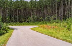 586 Anneliis Lane, Siler City, NC 27344