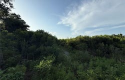 647 FLORISSANT Highway lot: ., LA 70085