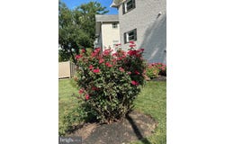 6 WARREN LODGE CT #2D, COCKEYSVILLE, MD 21030