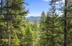 685 Blanchard-Elk Rd, Blanchard, ID 83804