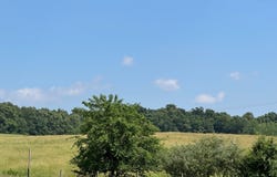 0 1100 N, Lamar, IN 47550