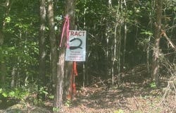 TRACTS 1-4 CARROLL HOLLOW Rd lot: 1,2,3,4, Waynesboro, TN 38485