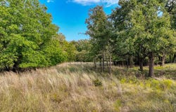 Tbd Valley Oak Court, Springtown, TX 76082