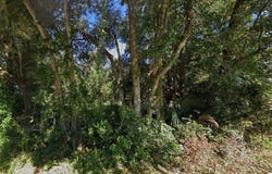 SE HAWTHORNE ROAD, HAWTHORNE, FL 32640