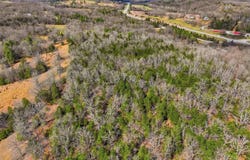 Mm Highway lot: 1, Gainesville, MO 65655