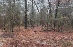 30 Jubileo Way, Hot Springs Village, AR 71909