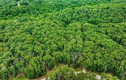 Lots 12 & 13 Kent  LN, Bella Vista, AR 72714