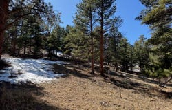 345 Green Pine Ct, Estes Park, CO 80517