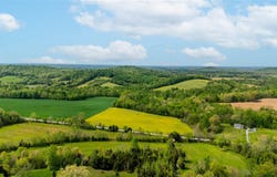 6299 Richardsville Road, Bowling Green, KY 42101