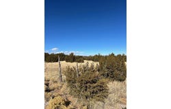 Kings Meadow Road, Sandia Park, NM 87047