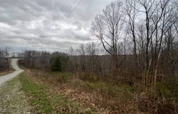 0  Shine Dr, Waverly, TN 37185