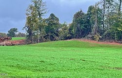 Tract 4 Medon Malesus Road, Medon, TN 38356