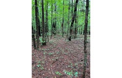 0 Teems Road, Ringgold, GA 30736