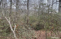 Mountain Cove Road lot: 10, Hendersonville, NC 28711