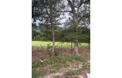 State Highway 103 Lot 2, Slocomb, AL 36375