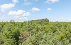 C TUCKER ROAD, ELMIRA, MI 49730