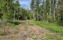 277 Seville Lane, Coram, MT 59913
