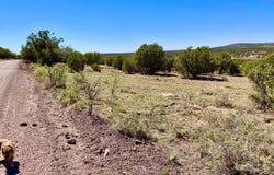 Tbd Co Rd 8269 Lot 151, Concho, AZ 85924
