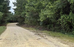 29 Ac Silo Road, Altoona, AL 35952