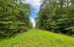 00 Mahixon Road, King William, VA 23106