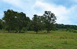 0000 I-30 Frontage Rd, Mount Vernon, TX 75457
