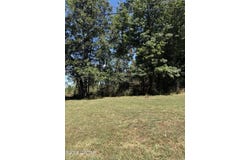 Harrison Street, Paris, TN 38242
