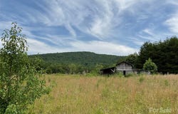 4282 Mount Gilead Church Road, Connelly Springs, NC 28612