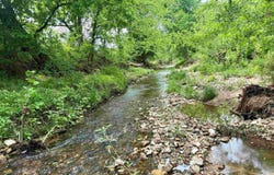 2157 Pleasant Grove Road, Calico Rock, AR 72519-0000
