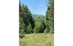 1491 Wild Bill Road, Kila, MT 59920